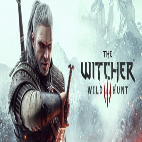  The Witcher 3 Garanti + Destek